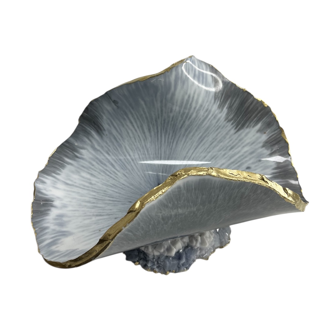 Photoroom_20260202_145435