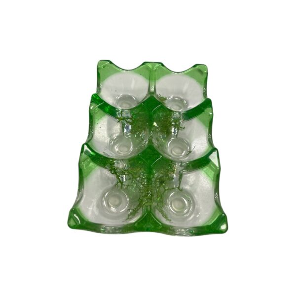 Kiaušinių dėklai "RAŠTAI"