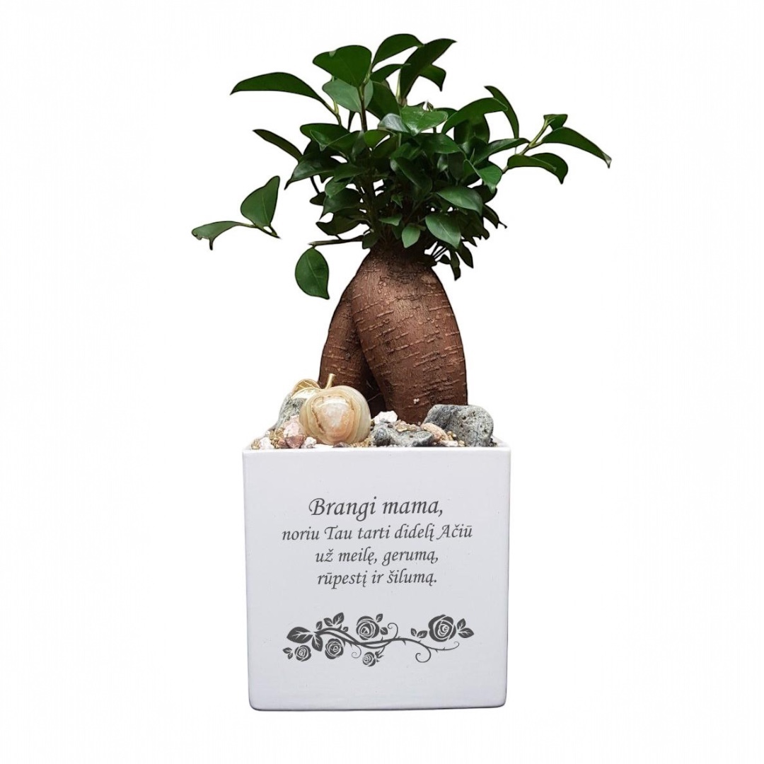 Photoroom_20260409_124705