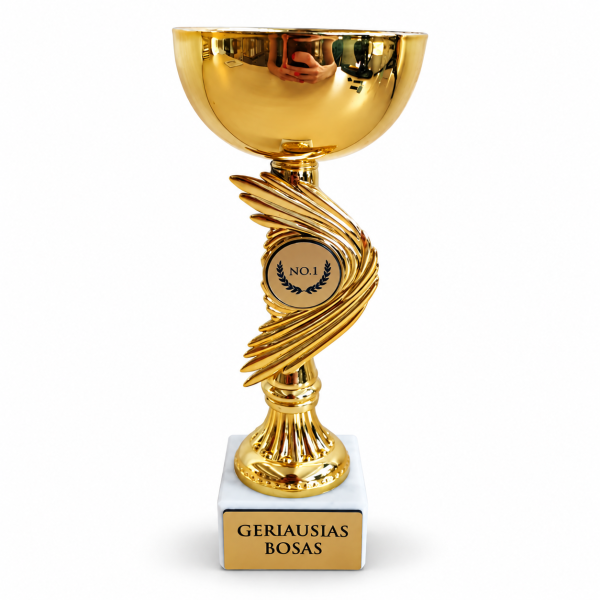 Apdovanojimas "GERIAUS BOSAS"